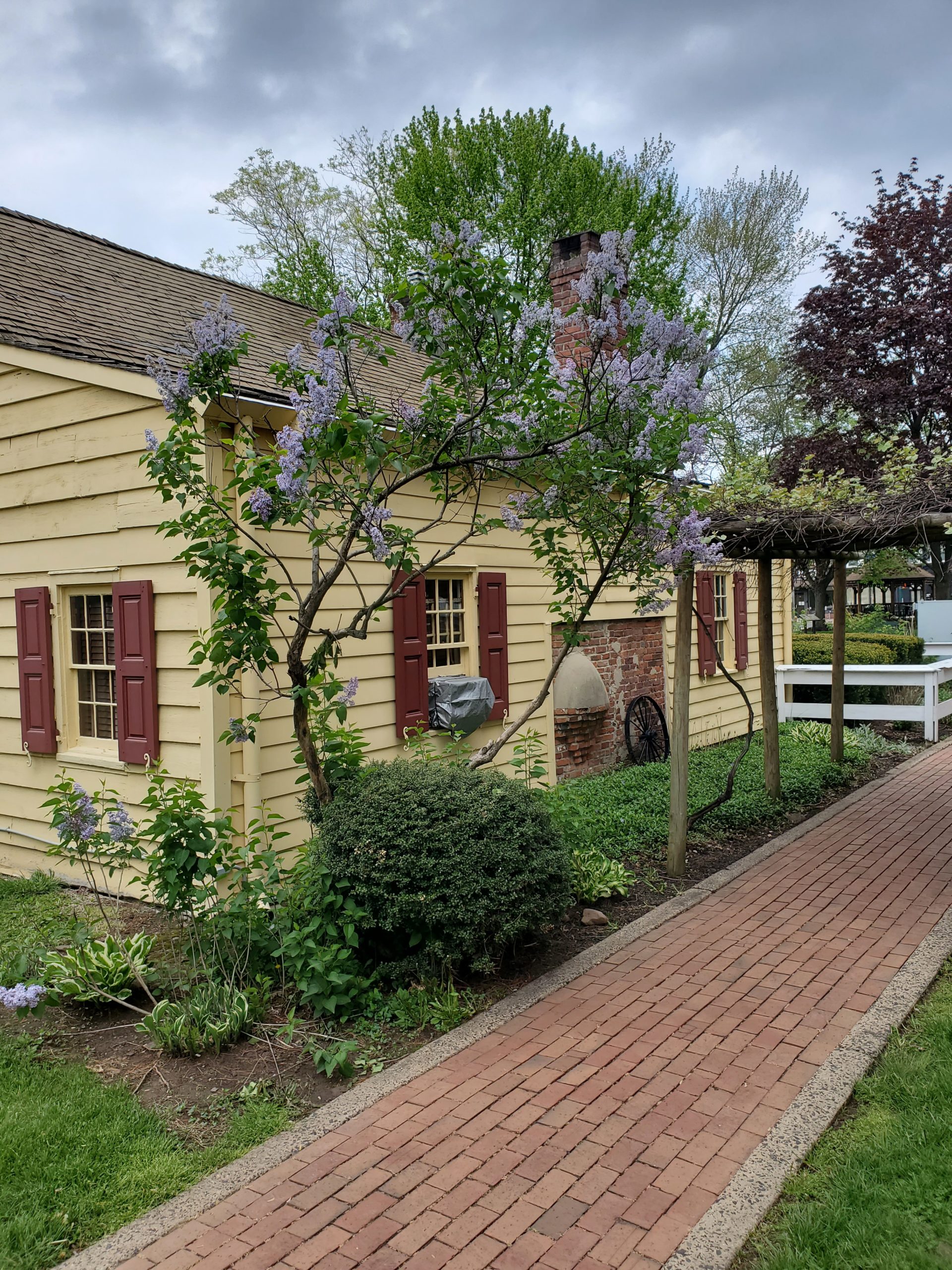 Osborn Cannonball House with flowering tree